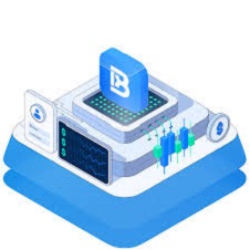 Discover the Best Forex Broker in India with Btcdana