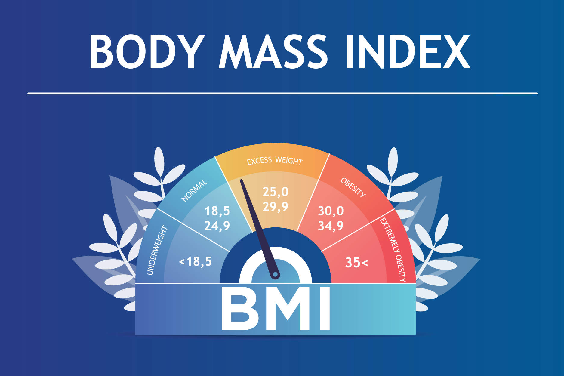 Get Quick Health Insights Using This Accurate BMI Index Calculator